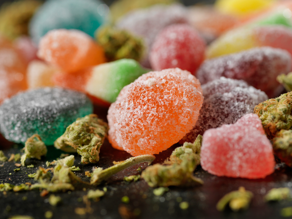 cannabis gummy candy and dried plants