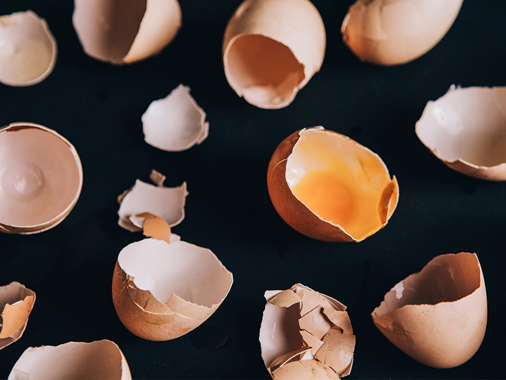 eggshells