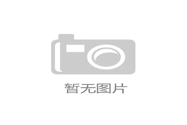 2026年美加墨世界杯晋级球队最新动态与赛前备战情况全面介绍
